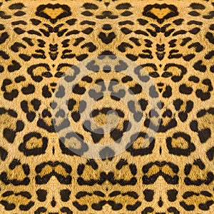 Leopard skin texture background