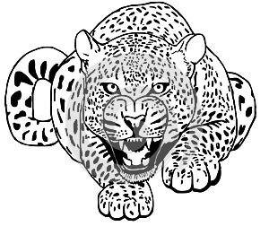Leopard Sneaks Tattoo vector