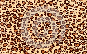 Leopard spots background photo