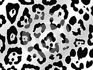 Leopard style in black and whi photo