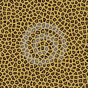 Leopard Texture Background Fur