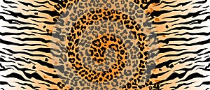 Leopard tiger jaguar texture orange black. Vector jungle. Bengal cat. strip