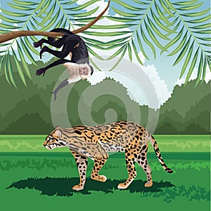 Leopard tropical monkey hanging branch tree fauna and flora landscape