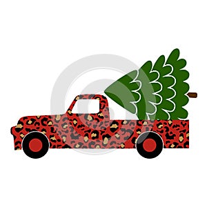 A leopard truck is carrying a Christmas tree