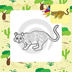 Leopard vector illustration. Coloring book