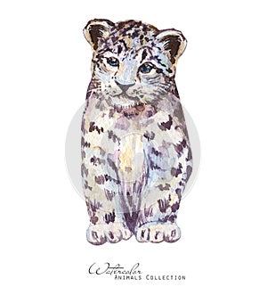 Leopard watercolor illustration. Cub leopard