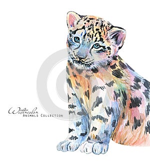 Leopard watercolor illustration. Cub leopard