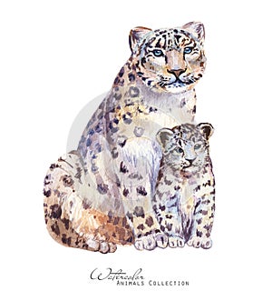 Leopard watercolor illustration. Mother leopard and cub .