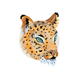 Leopard, wild cat face