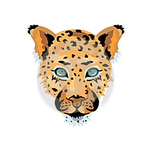 Leopard, wild cat face