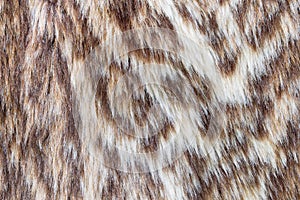 Leopard or Wildcat Fur Background