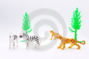 Leopard and Zebra  model isolated on white background, animal to