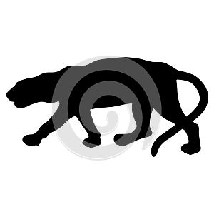 Leoparda black silhouette