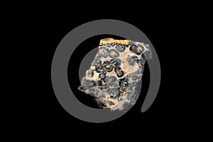 leopardskin jasper on black background