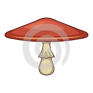 Lepiota procera mushroom icon, cartoon style