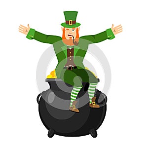Leprechaun and pot of gold. Dwarf with red beard and boiler of g