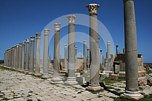 Leptis magna