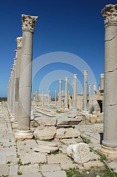 Leptis magna