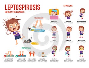 Leptospirosis symptoms and prevention infographic