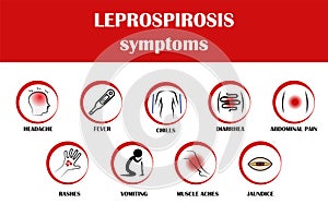 Leptospirosis symptoms, Vector illustration with simply icon of symptoms