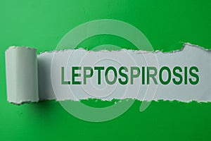 Leptospirosis Text written in torn paper