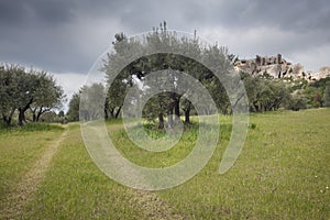 Les baux de provence.