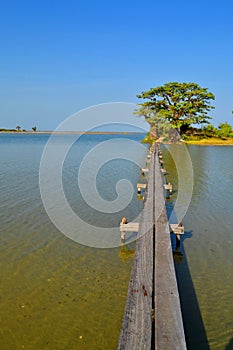 Les Collines de Niassam, Sine-Saloum delta, Senegal photo