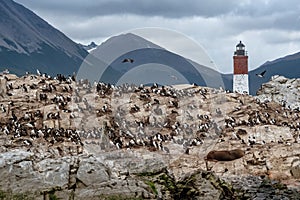 Les Eclaireurs Lighthouse in the Beagle Channel, Tierra del Fuego, southern Argentina