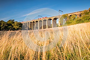 Lesbury Viaduct with Train