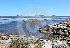 Leschenault Estuary Bunbury West Aust