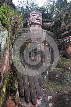 Leshan Giant Buddha in Sichuan province in China