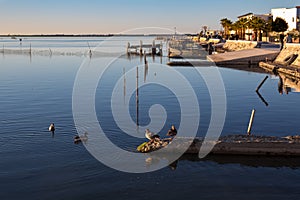 LESINA LAKE AND BOATS photo