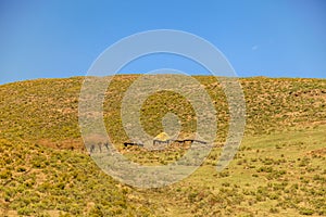 Lesotho hut, Africa.