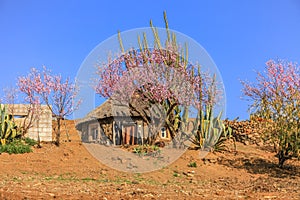 Lesotho hut, Africa.