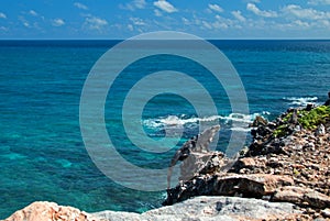 Lesser Antillean Iguana on Isla Mujeres Punta Sur Acantilado del Amanecer - Cliff of the Dawn - near Cancun Mexico photo