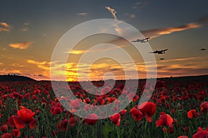 Lest we Forget, Lancaster bombers flying across poppy fields photo