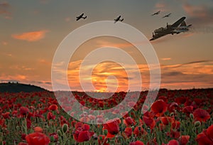 Lest We Forget war planes flying over red poppy field