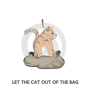 Let the cat out of the bag