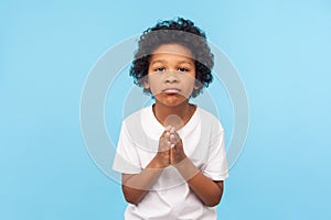 Let me please. Portrait of cute little boy holding hands in prayer gesture and asking permission, feeling guilty sorry