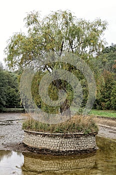 Let-out pond with central island covered by stone tiles and single tree