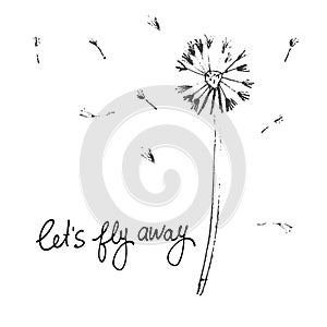Let's Fly Away vector card. Hand drawn illustration of dandelion with seeds blowing in the wind