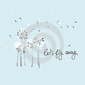 Let's Fly Away vector card. Hand drawn illustration of fluffy dandelions with seeds blowing in the wind