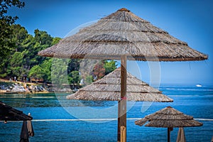 Let\'s go to the beach photo