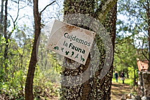 Let`s take care of the fauna in the Tapalpa forest. photo