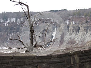 Letchworth Gorge