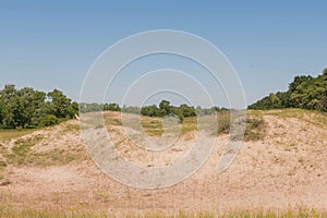 Sand dunes from the Letea,  The Danube Delta