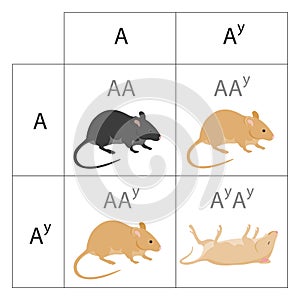 Lethal mutations are genetic mutations