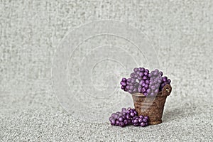 Lethargic berries in a rusty bucket on the background of the canvas - still life in rustic style