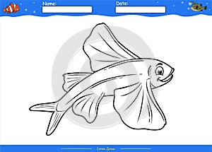 Lets color it flying fish
