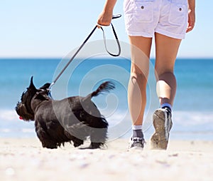 Lets go over there. a woman walking with her dog on the beach.